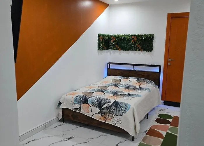 Cozy Renovated Comfort Practicality Bourgoin-Jallieu